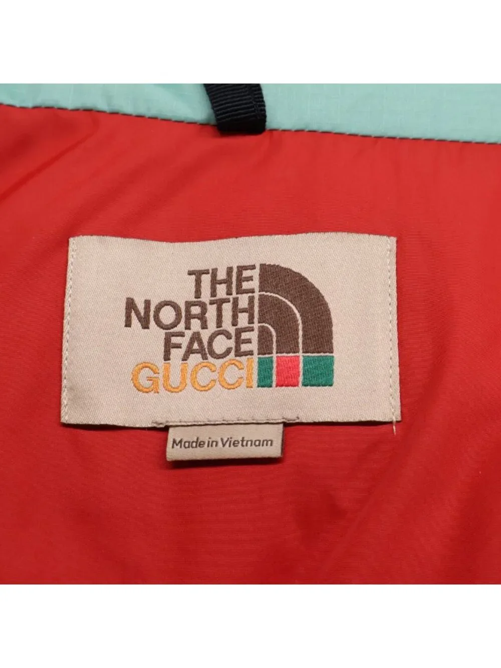 Gucci typexthe north